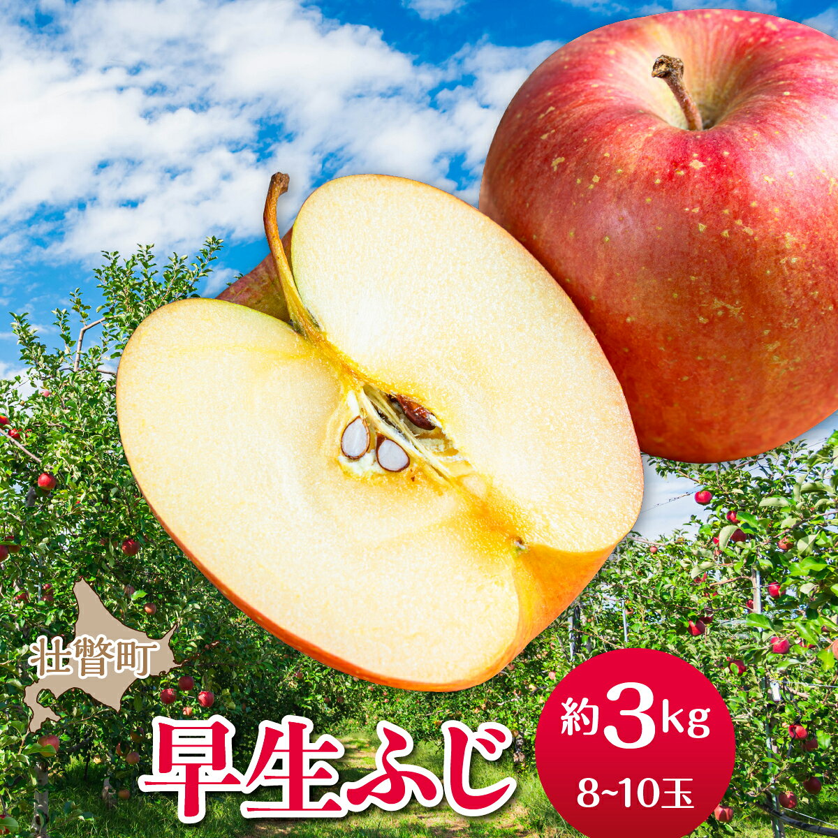 【ふるさと納税】【先行予約】北海道壮瞥町産りんご「早生ふじ」約3kg(8～10玉)《2026年10月中旬よりお届け》【 りんご リンゴ 林檎 ふじ 早生ふじ 蜜入り 5kg ジュース 果物 くだもの フルーツ 送料無料 おすすめ ランキング コスパ】SBTF002