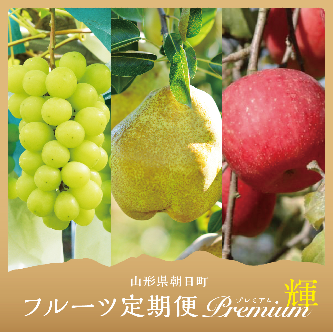 【 定期便 3回 】 フルーツ ３種類 定期便 ( シャインマスカット 西洋梨 りんご ） 秀品 プレミアム 輝コース 農家直送 山形県 朝日町産 農産物 山形産 ブドウ ぶどう ラ・フランス リンゴ サンふじ 果物 秋 冬