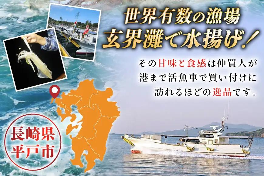 【ふるなびWEEK対象】 イカ 極鮮ヤリイカ 刺身 約500g