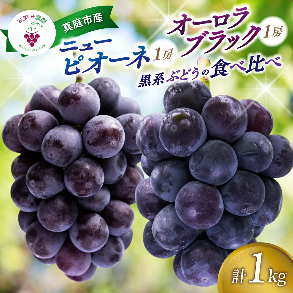 【ふるさと納税】 ニューピオーネ&オーロラブラック 1kg 2房 食べ比べ ぶどう 葡萄 【2026年発送 先行予約 9月上旬～順次発送】ぶどう ブドウ 葡萄 果物 フルーツ くだもの セット 詰め合わせ 数量限定 期間限定 送料無料 産地直送 人気 岡山 ギフト 【配送不可地域：離島】