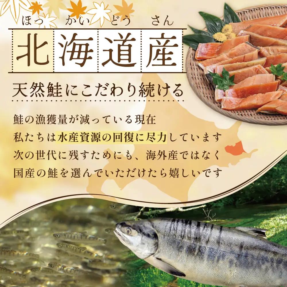 【訳あり】秋鮭ドンっ！無塩 秋鮭 切り身 1.5kg【KN000PB06】北海道