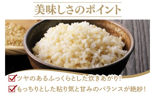 【金賞農家が栽培した家庭用米】立神米「にじのきらめき」30㎏（玄米）令和8年産 【谷田部農産】｜茨城県 大子町 奥久慈 大子産米 精米 米 コンテスト 受賞 生産者（BT093）