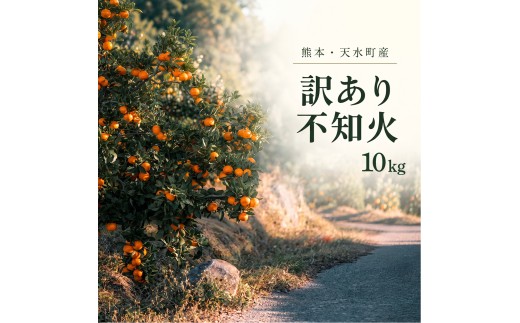 訳あり 不知火 箱込み10キロ 杉山農園 | フルーツ 果物 くだもの 柑橘 ミカン みかん 熊本県 玉名市
