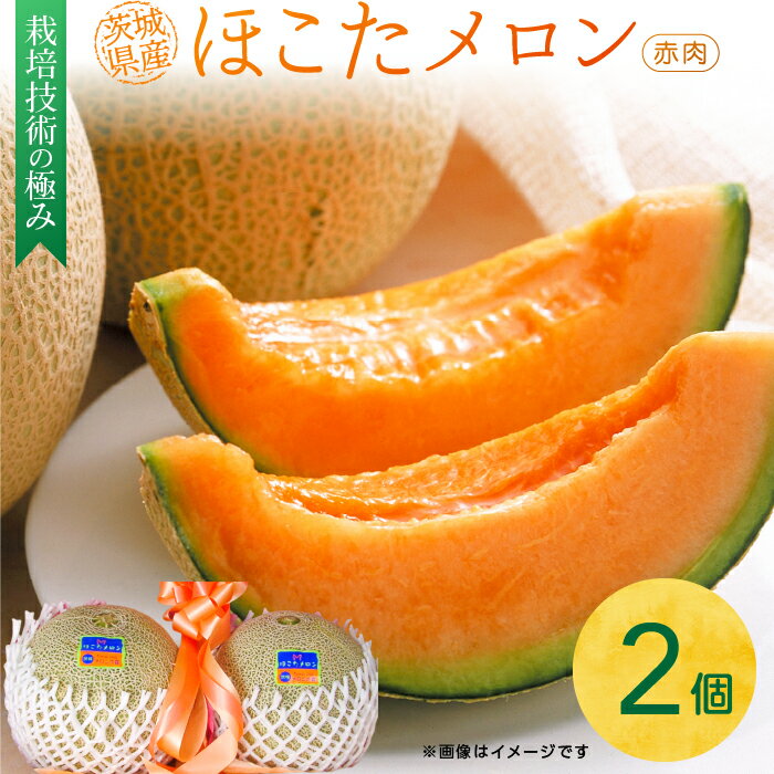 【ふるさと納税】メロン めろん 完熟収穫 ほこたメロン 赤肉 1箱（2個入）ギフト 鉾田 果物 人気 おすすめ 贈答 茨城 お返し 先行予約 スイーツ 送料無料 味 茨城県 還元率 フルーツ めろん 鉾田市 デザート くだもの お取り寄せ 期間限定 メロンの森 フォレストパーク