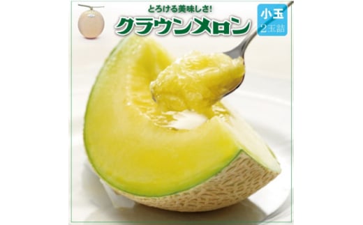 ＜通年出荷＞クラウンメロン(小玉) 2玉詰【1486520】