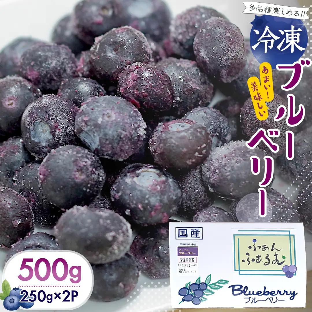 茨城県産 冷凍 ブルーベリー 合計 500g (250g×2袋) 多品種 果実 果物 くだもの フルーツ おやつ ブルーベリー ベリー ジャム 小分け[DZ003sa]