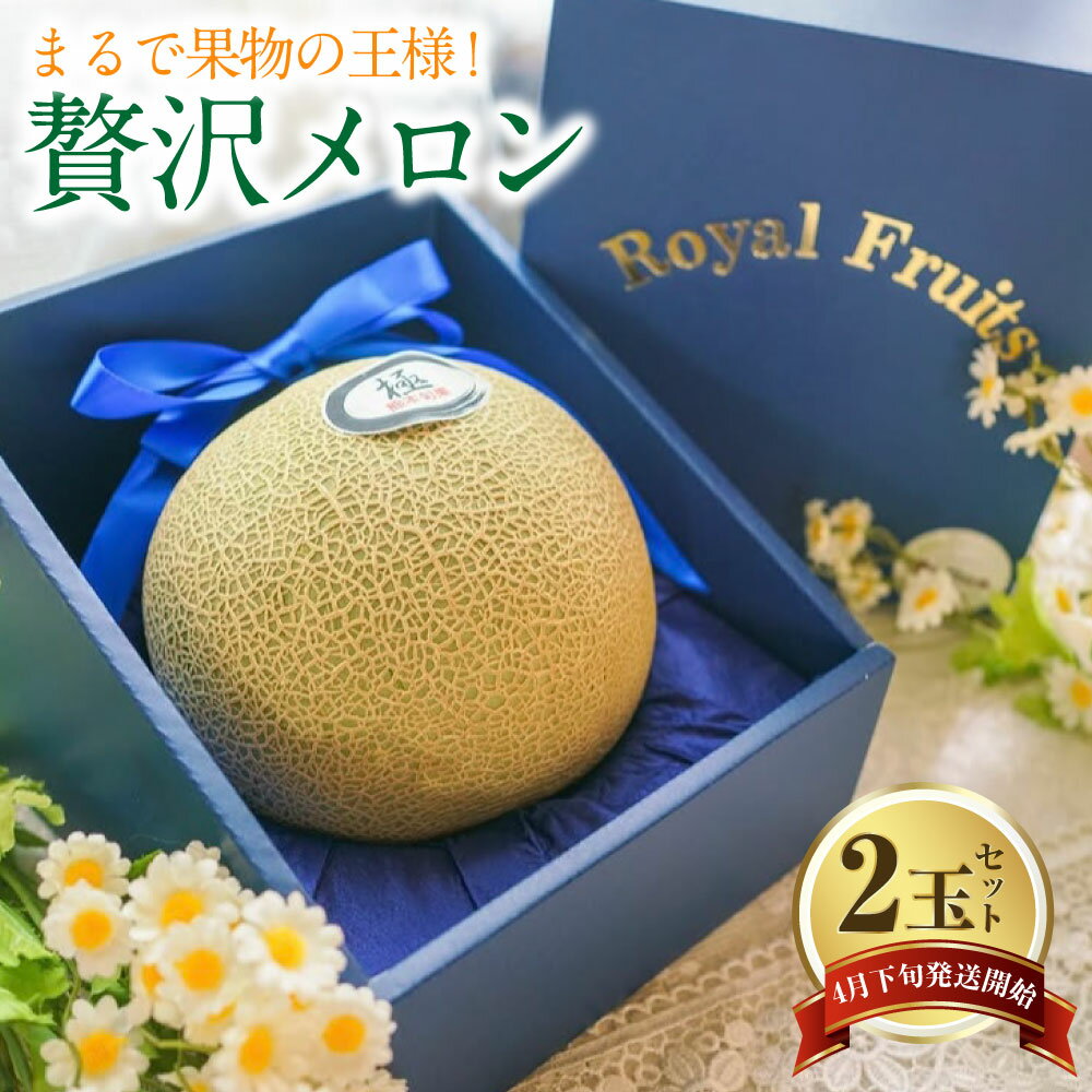 【ふるさと納税】まるで果物の王様！贅沢メロン 2玉セット 熊本県産 フルーツ メロン 贈答 ギフト 果物 熊本産 九州 熊本県 送料無料 【2026年4月下旬発送開始】