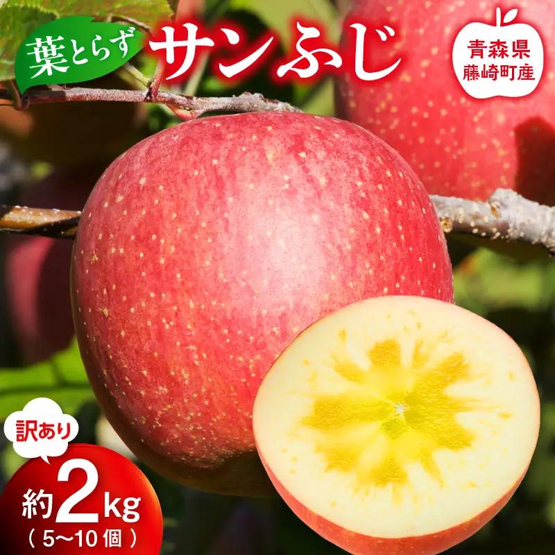 【先行予約】産地直送 葉とらず サンふじ 訳あり 約2kg（5～10個） りんご リンゴ 林檎 F41-0021