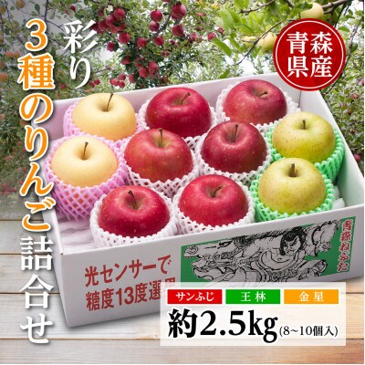 りんご/青森県産　彩り3種のりんご詰合せ 約2.5kg【配送不可地域：離島】