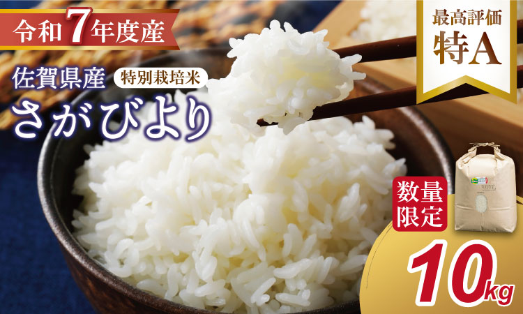 【新米予約】R７年度産（令和７年）特別栽培米 佐賀ブランド 米「 さがびより 」10kg（5kg×2袋）田中農場 精米 白米 10キロ 単位 もちもち 食感 冷めても 美味しい お一人様 ご家族用 ランキング 特A 評価