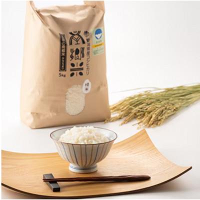 ふるさと納税 五泉市 【毎月定期便】特別栽培米コシヒカリ100%「南郷米」精米 5kg(5kg×1袋)全6回 |  | 03