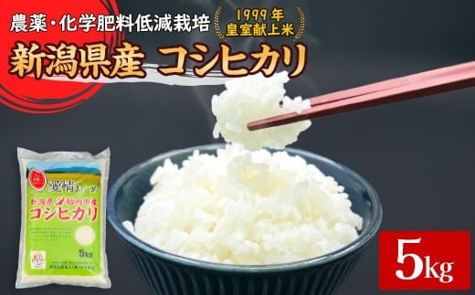 16-K51新潟県胎内市産コシヒカリ5kg