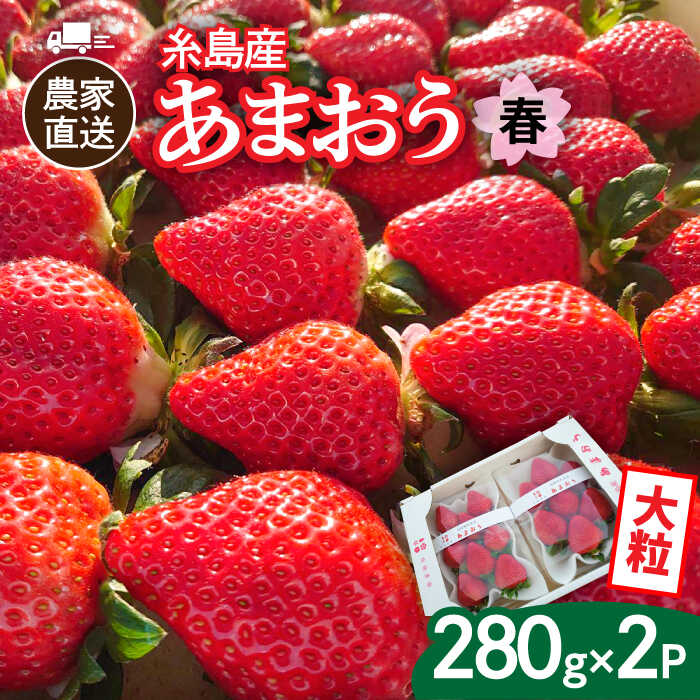【ふるさと納税】農家直送！糸島産 春 あまおう 280g × 2パック (DXまたはGサイズ) 糸島市 / 後藤農園 [AML004] いちご イチゴ 苺 9000円 9千円 ギフト