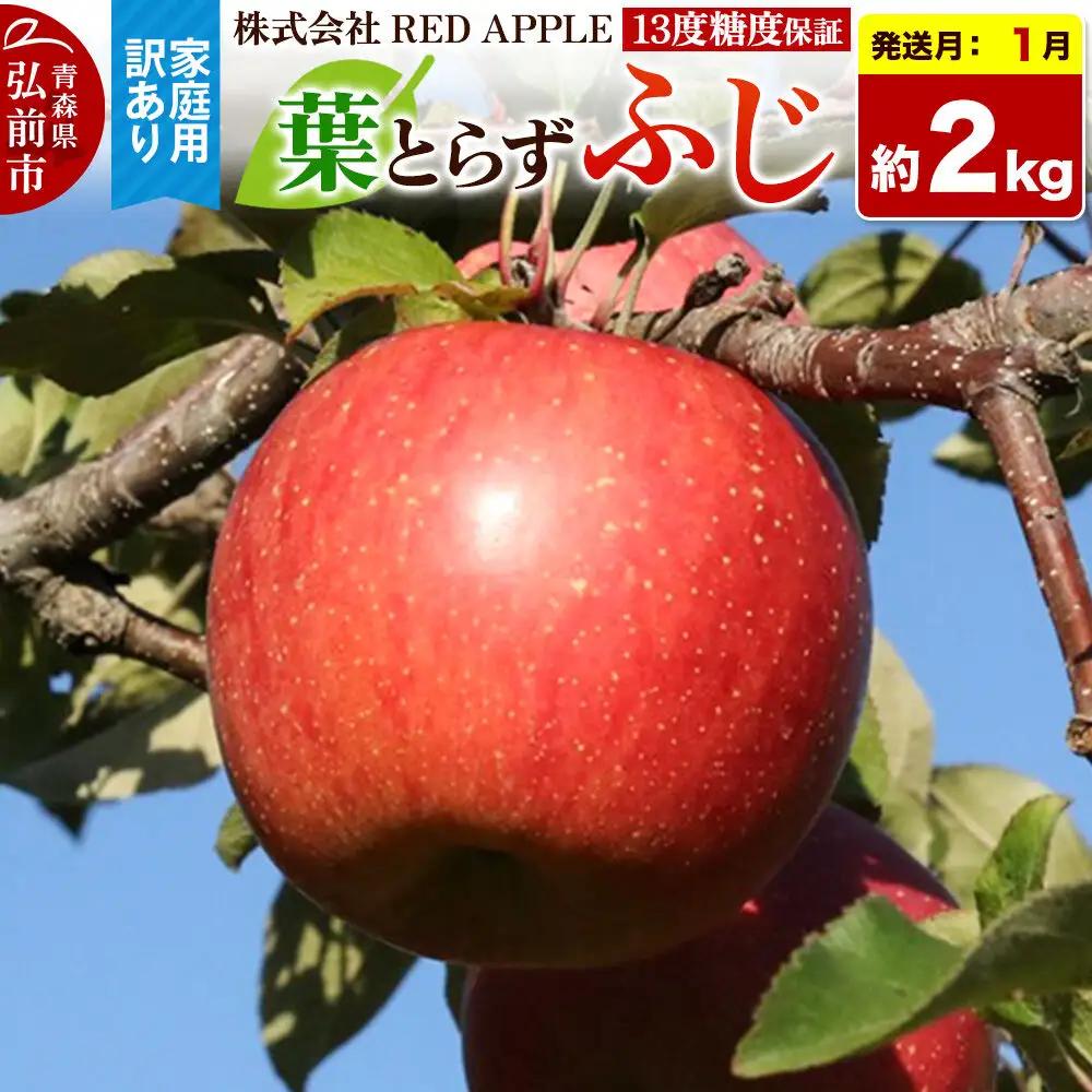 【27年1月発送】りんご 葉とらずふじ【訳あり】家庭用 約2kg 13度糖度保証 先行受付