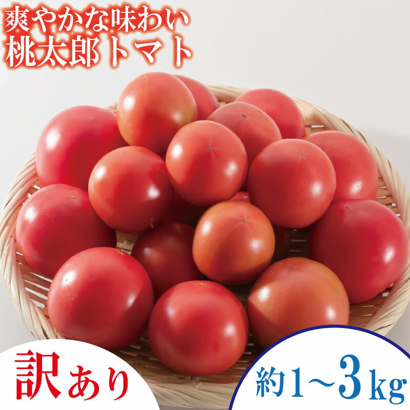 【ふるさと納税】 【選べるお届け月】 トマト 訳あり 約1~3kg 桃太郎 先行予約 甘い 野菜 やさい 国産 産地直送 数量限定 旬 桃太郎トマト 生野菜 新鮮 ソース 調味料 ケチャップ サラダ 美容 新鮮 健康 お取り寄せ グルメ おすすめ 人気 徳島県 小松島市
