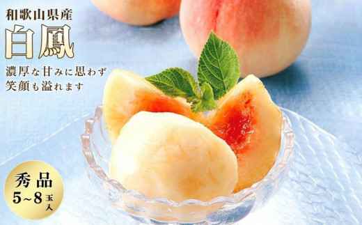 
            和歌山県産 白鳳 桃 5～8玉入り 秀品 先行予約［2026年6月下旬以降発送］［MG6］
          