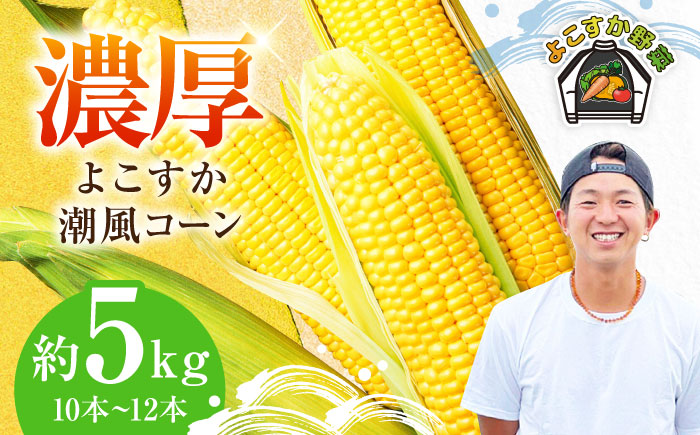 【先行予約】【数量限定100セット】よこすか潮風コーン 10本～12本 計約5kg 【井上農園】 [AKDJ002]