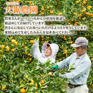 大鋸農園の早穫り甘果坊（小玉）５kg みかん 蜜柑 太良みかん 温州みかん 果物 フルーツ 甘い 早穫り 柑橘 ノーワックス 果実 くだもの 柑橘類 佐賀県 太良町 LB10