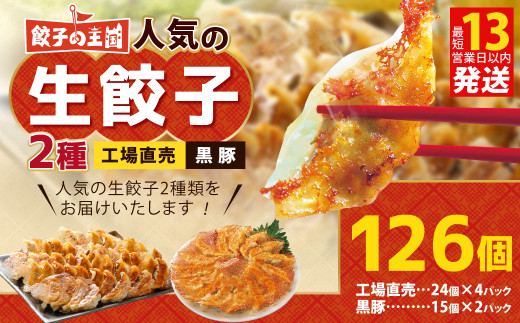 【令和8年度熊本地震復興支援】餃子の王国 人気の生餃子 2種 126個 黒豚 生餃子 餃子 ぎょうざ 豚肉 冷凍 国産 熊本 セット