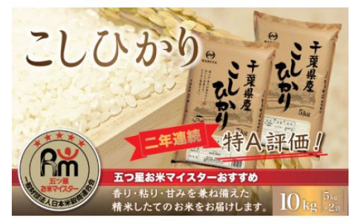 令和7年産 2年連続特A評価!千葉県産コシヒカリ10kg（5kg×2袋） お米 10kg 千葉県産 大網白里市 コシヒカリ 米 精米 こめ 送料無料 E001
