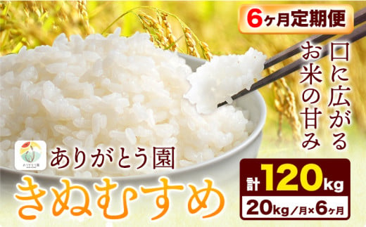 196. 【6ヶ月定期便】令和6年産 米 岡山県産 きぬむすめ 白米 選べる 20kg ありがとう園《お申込み月の翌月から出荷開始》岡山県 矢掛町 米 コメ 一等米 定期便 定期