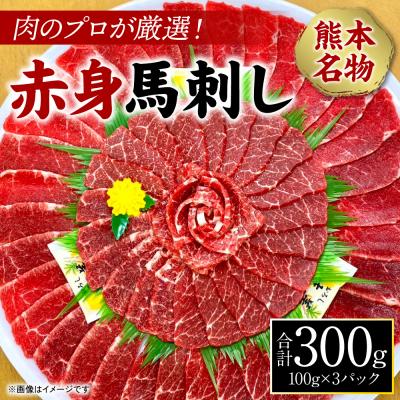 ふるさと納税 八代市 肉のプロが厳選! 熊本名物! 赤身馬刺し300g_227-4131-B