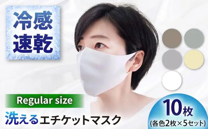 マスク エチケットマスク レギュラーサイズ 10枚 [ANEA008] マスク