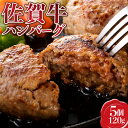 【ふるさと納税】【佐賀牛】ハンバーグ120g×5個 贈り物 ギフト プレゼント