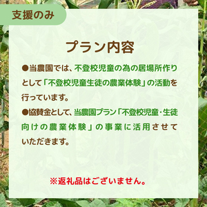 不登校児童生徒の農業体験の支援 （支援のみ） 〈 サポート 学び 食育 収穫体験 農業体験 体験 収穫 野菜 子供 親子 農作物 ふるさと納税 柏 〉