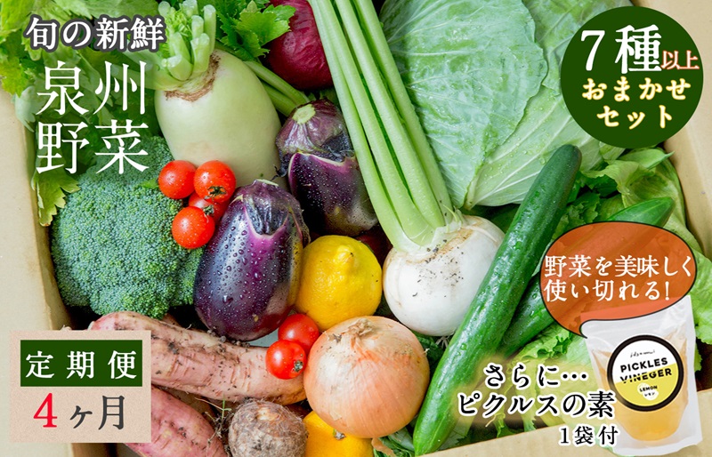 G940 旬の新鮮 野菜セット（7種以上）定期便 全4回 おまかせ ピクルスの素付き ファミリー向け いずみピクルス NSW【毎月配送コース】