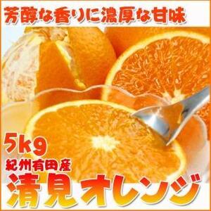【2・4・6・8・10・12月 偶数月発送 全6回】和歌山産 旬のフルーツ お楽しみ 定期便 【魚鶴商店】