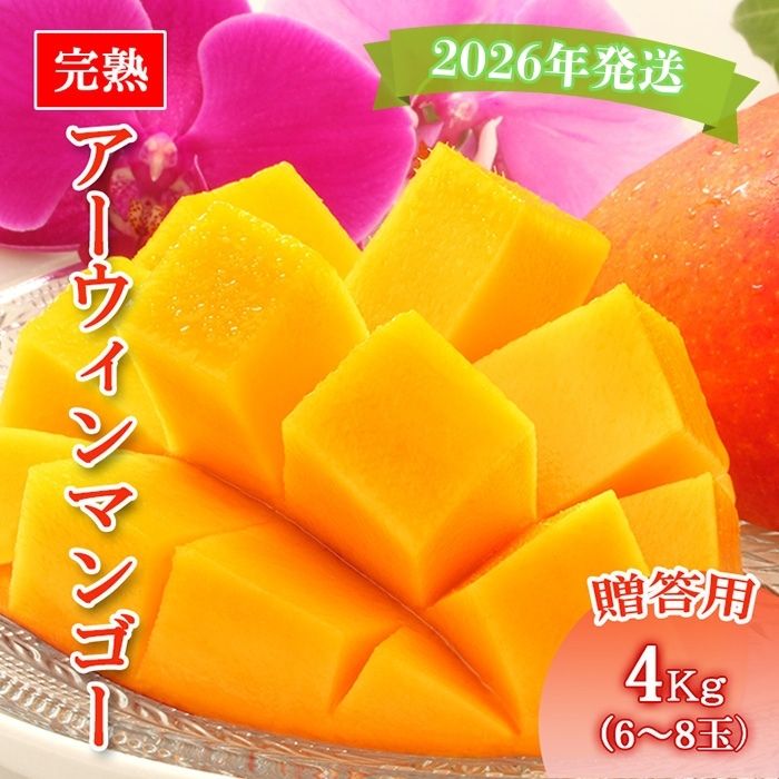 【ふるさと納税】＜先行予約2026年発送＞宮古島産“完熟アーウィンマンゴー”《贈答用》4kg【福来多まつばらマンゴー園】（MF03）