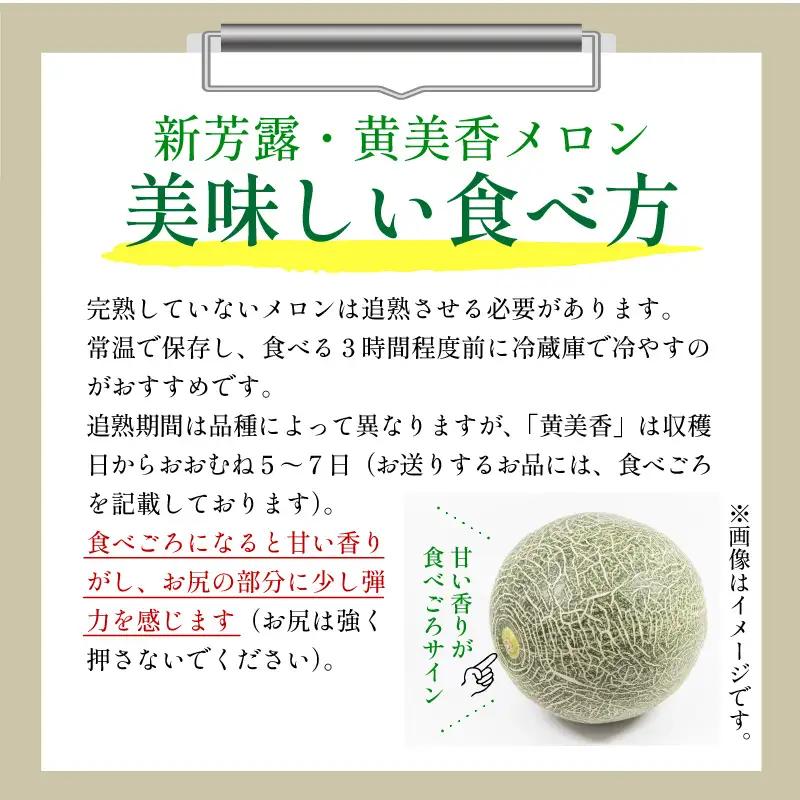 メロン／果物【先行予約／数量限定30】プレミアムメロン（新芳露・黄美香）セット（2026年7月下旬～発送）※マスクメロン（アールスメロン）系　フルーツ・メロン２玉・果物・メロンセット・ブランドメロン・