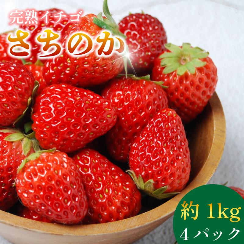 
            いちご さちのか 4パック ( 280g × 4 ) 大粒 果物 フルーツ 苺 ストロベリー  ケーキ アイス タルト ジュース ゼリー ジェラート シャーベット ジャム スムージー 洋菓子 和菓子 フルーツサンド フルーツ大福 いちご大福 プレゼント ギフト お取り寄せ グルメ 送料無料 徳島県 阿波市 御所の郷
          