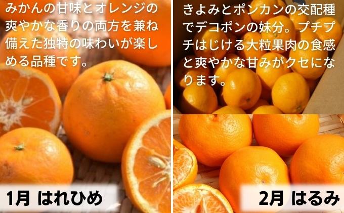 【9回頒布会】フジカワ果樹園オリジナル・新季節の柑橘セ