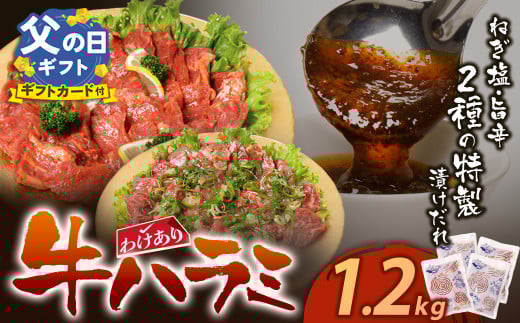 U61-43R01 【6/2～寄付額改定】【父の日ギフト】【訳あり】牛ハラミ肉(旨辛、ねぎ塩) 1.2kg 旨辛 ねぎ塩 牛肉 焼肉 味付け肉 BBQ 簡単 冷凍 家庭用 大人気 コスパ 手軽 父の日 ギフト