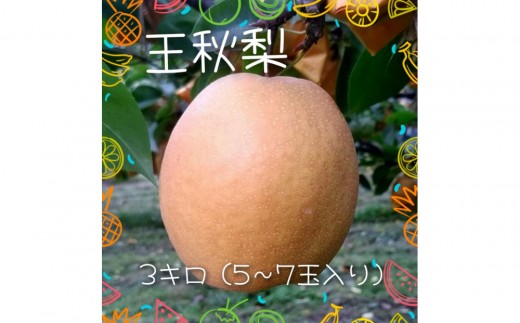 
                  王秋梨 3kg【まえた農園】
                