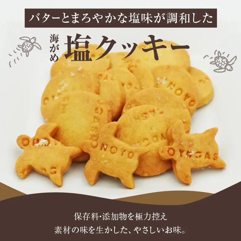 海がめ塩クッキー充実BOX (57枚+子がめクッキー3枚) 箱入り J01018