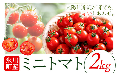 【先行予約】トマト 2kg 熊本 氷川アグリクラブ | ミニトマト