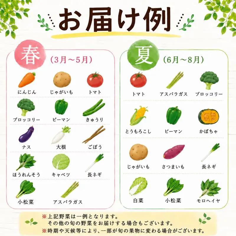 野菜セット 詰め合わせ おまかせ 10～15品目 野菜セット