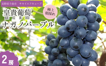 【2025年先行予約】ぶどう ナガノパープル 特秀品 加湿ハウス栽培 2房 ｜ ぶどう ぶどう ぶどう ぶどう ぶどう