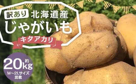 【訳あり】北海道産 じゃがいも キタアカリ M～2Lサイズ混載 約20kg 1箱 山田農場 ジャガイモ 芋 いも イモ 訳アリ わけあり ワケアリ 国産 【2026年9月下旬-2027年1月上旬迄発送予定】