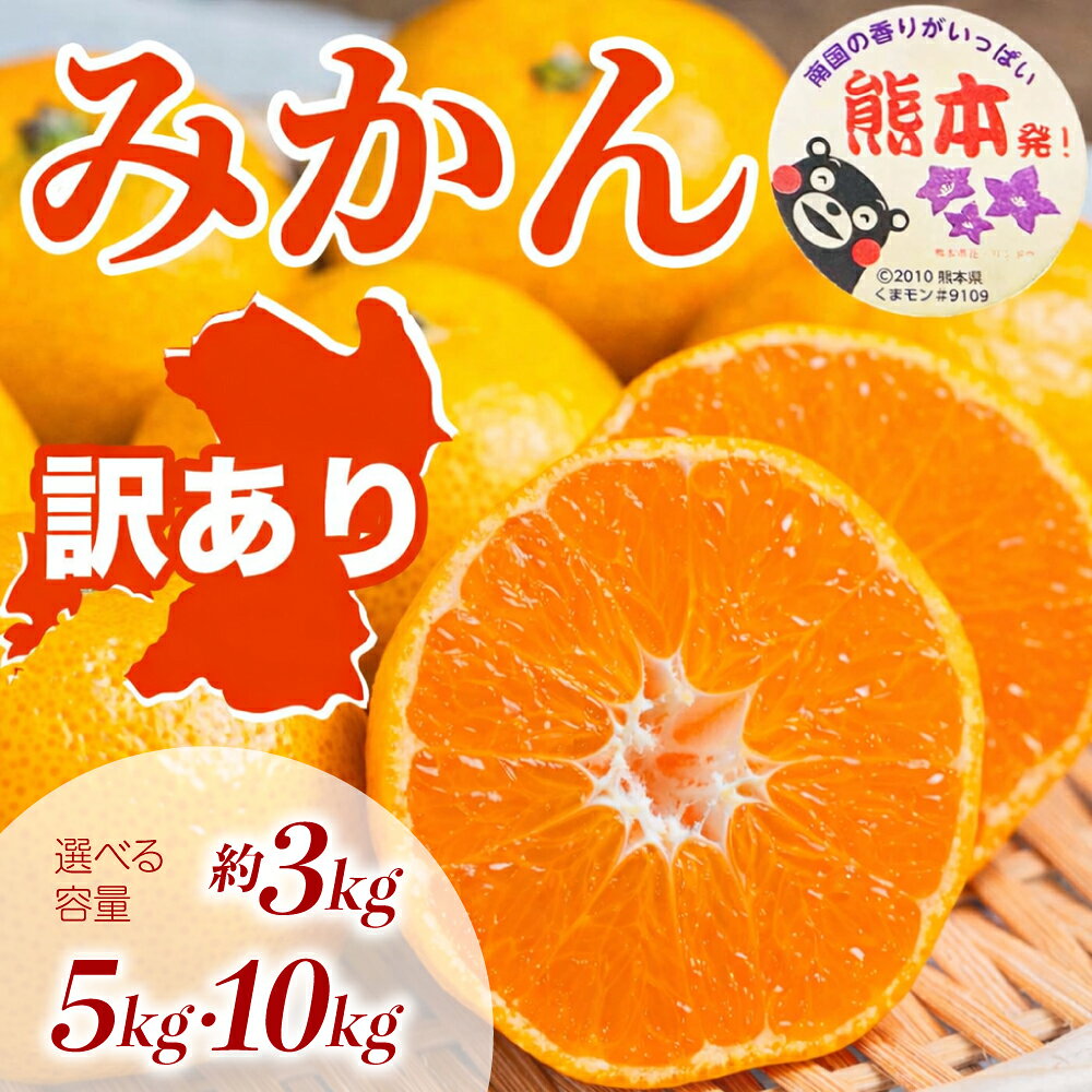 【ふるさと納税】 先行予約 訳あり みかん サイズミックス 選べる容量 約3kg 約5kg 約10kg （3S～3L）【2026年10月上旬～2027年2月下旬発送予定】ミカン 蜜柑 果物 フルーツ くだもの 柑橘国産 熊本県 宇城市 規格外 不揃い 傷あり 日本フルーツ