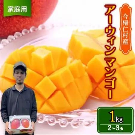 【2026年6月から順次発送・家庭用】仲本マンゴー園のアーウィンマンゴー1kg(2～3玉)【配送不可地域：離島】【1439395】