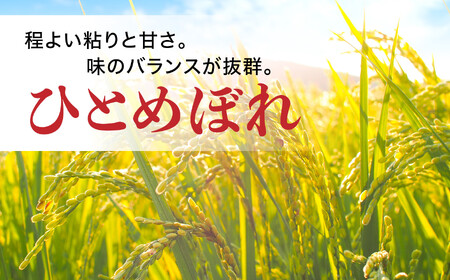令和6年産 宮城県産 ひとめぼれ 無洗米10kg(5kg×2）   [ カメイ 宮城県 加美町 ]  お米 こめ コメ 精米 白米 ひとめぼれ | km00012-r6-10kg 米 無洗米