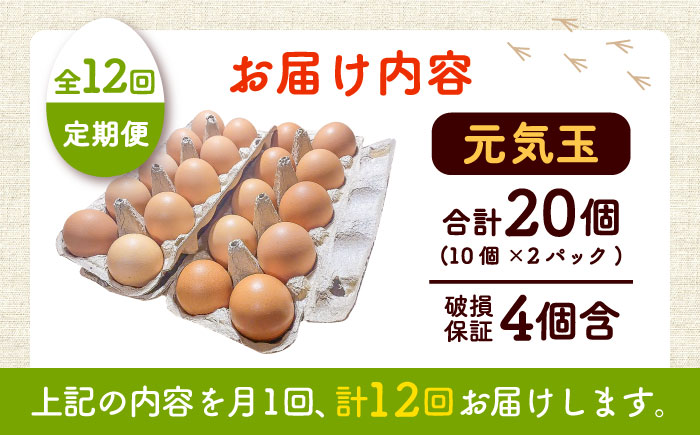 【全12回定期便】平飼い新鮮たまご 元気玉 計20個(10個×2パック) / 卵 ぷりぷり 新鮮 玉子 オムレツ たまごかけごはん 朝食 平飼い 濃厚 こく 熊本県 菊陽町【ぴよっこファーム】 [BH