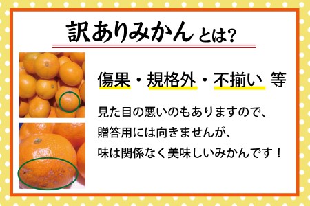 訳あり 有田みかん 約10kg 【ご家庭用】 和歌山県 温州みかん 先行予約【2024年11月中旬より発送予定（お届け日指定不可）】【nuk138A】