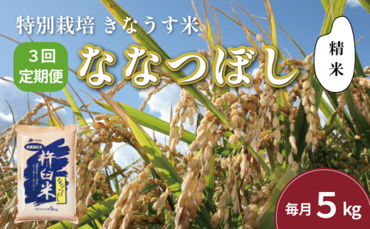 【精米3ヶ月定期便】特別栽培「きなうす米」ななつぼし5kg×3回　J031