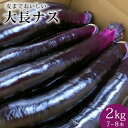 【ふるさと納税】【令和6年度出荷分】皮までおいしい！島原 大長ナス 2kg（7〜8本） 【 産地直送 なす 茄子 ナス 長崎県 島原市 送料無料 】