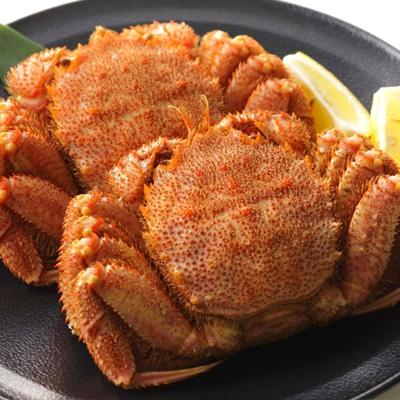 ふるさと納税 森町 【北海道産】産地直送　冷凍浜茹で毛ガニ(約330g前後〜約370g前後)×2杯 |  | 01